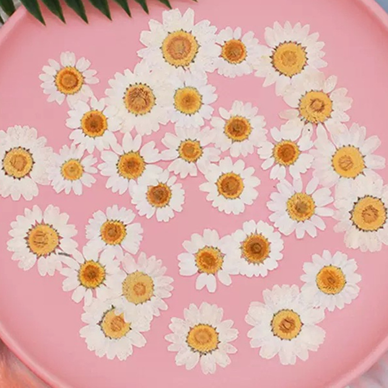 100Pcs Natural White Crystal C - Home Decor Daisy ulasan dan harga
