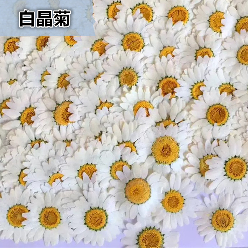100Pcs Natural White Crystal C - Home Decor Daisy ulasan dan harga