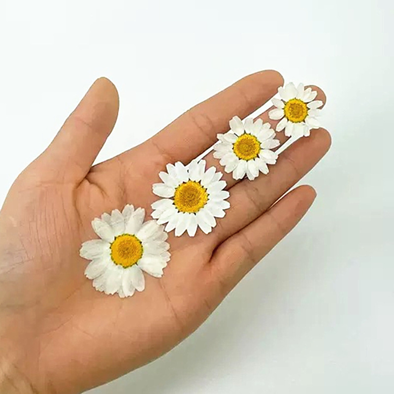 100Pcs Natural White Crystal C - Home Decor Daisy ulasan dan harga