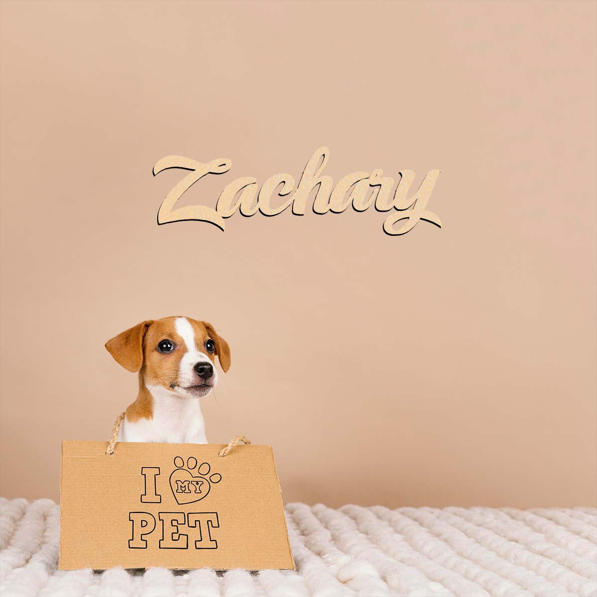 1pc home decor Zachary example - Home Decor Examples ulasan dan harga