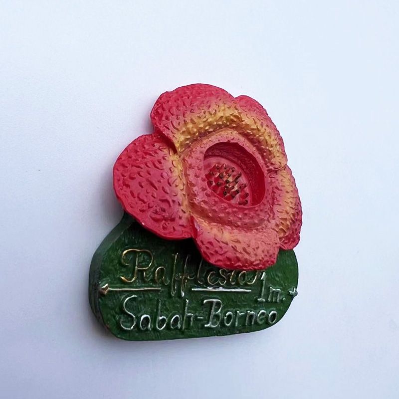 Malaysia Sabah Borneo Rafflesi - Home Decor Malaysia ulasan dan harga