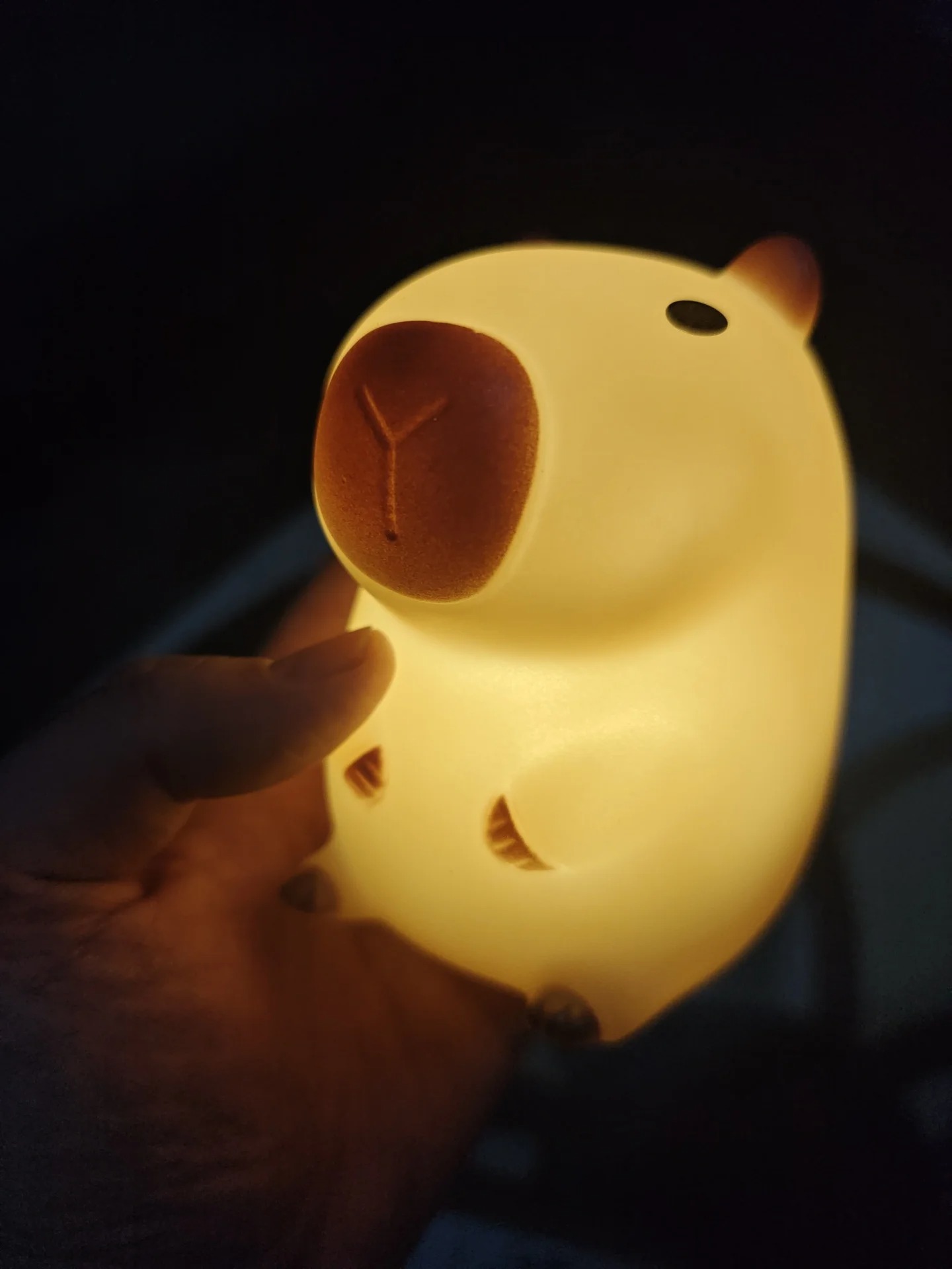 Cute Pet Capybara Night Light  - Home Decor On Sale ulasan dan harga